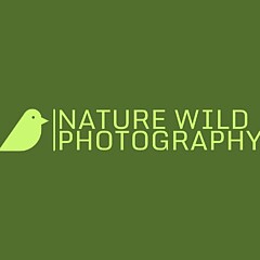 Nature Wild Photograhy